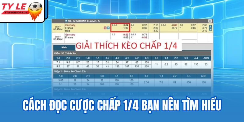 Cách đọc cược chấp 1/4 bạn nên tìm hiểu