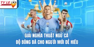 thuật ngữ cá độ bóng đá
