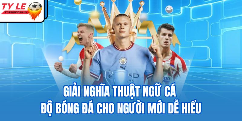 thuật ngữ cá độ bóng đá