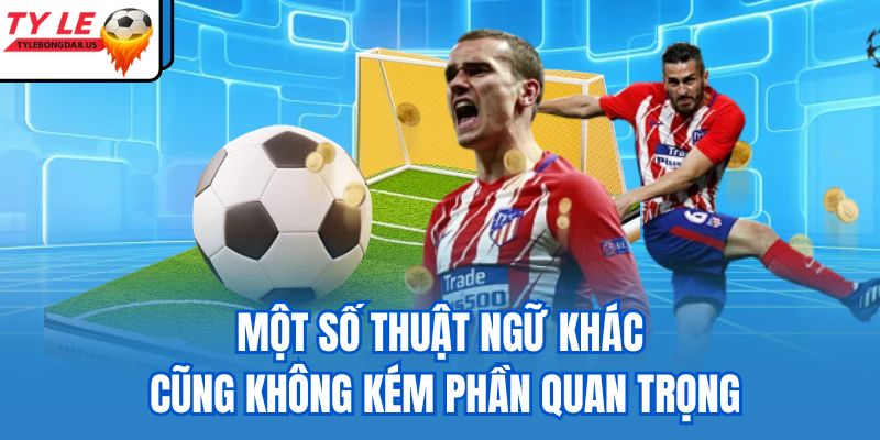 Một số thuật ngữ khác cũng không kém phần quan trọng