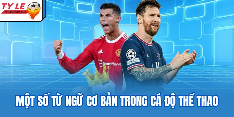 Một số từ ngữ cơ bản trong cá độ thể thao