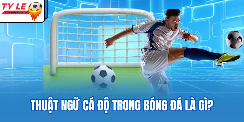 Thuật ngữ cá độ trong bóng đá là gì?